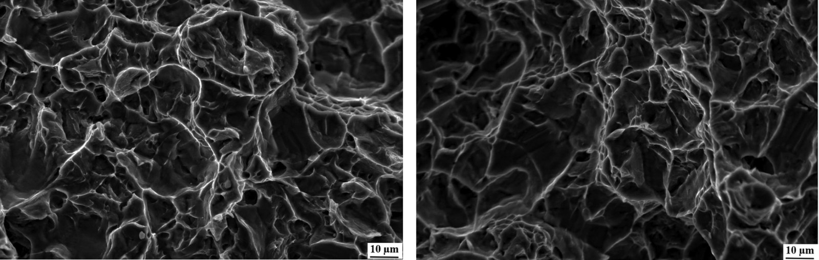 1677416028687668.jpg 33.jpg