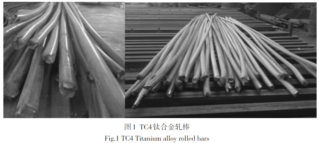 1684395727247354.jpg t1.jpg